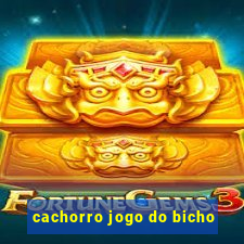 cachorro jogo do bicho